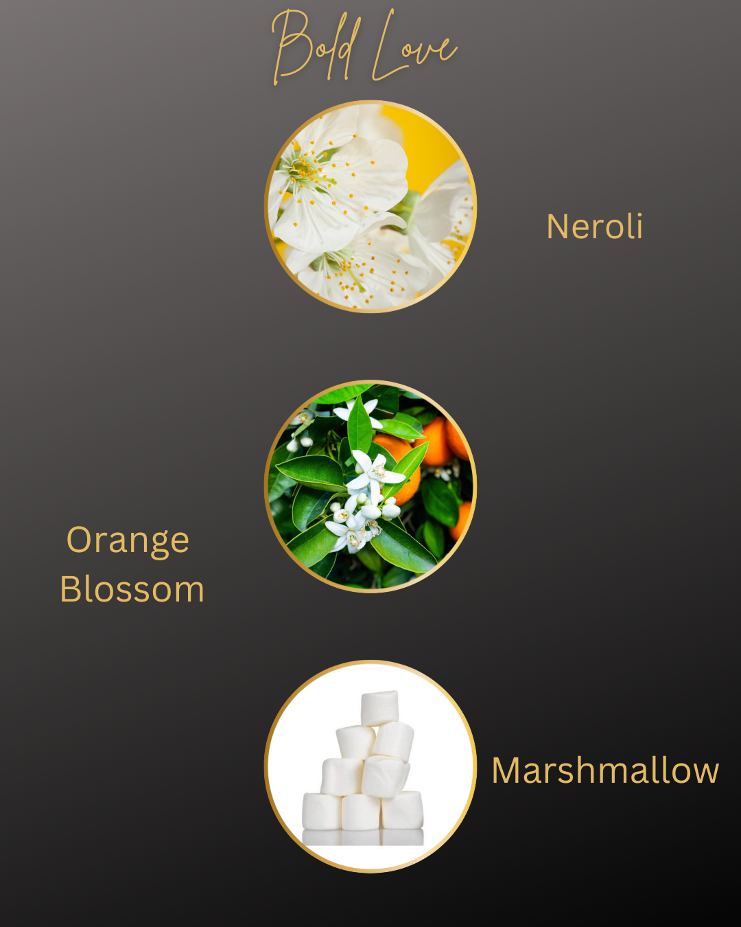 Luxury Perfume Roller Balls